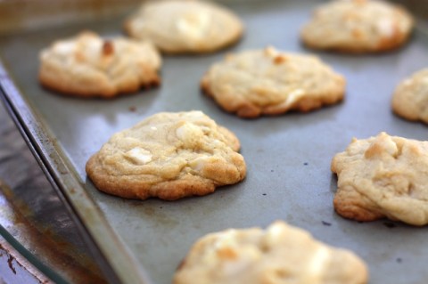 white chocolate macadamia nuts cookies